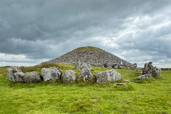 Cairn T